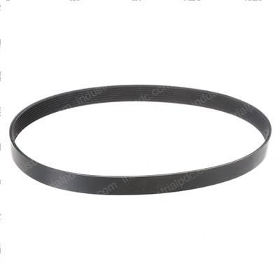 Picture of Belt - Serpentine