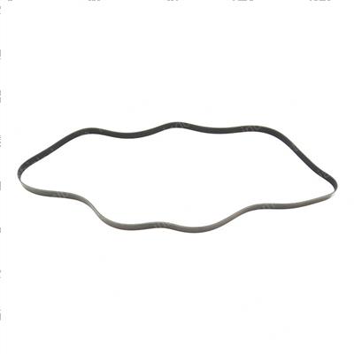 Picture of Belt - Serpentine