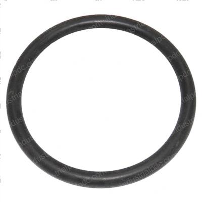 Picture of O-Ring