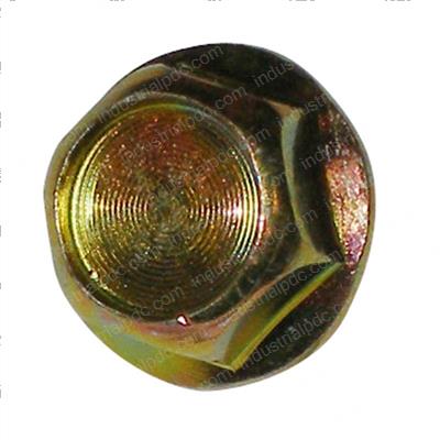 Picture of Bolt
