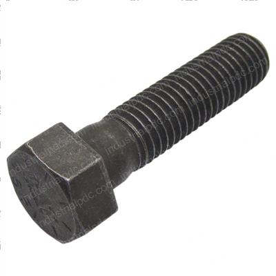 Picture of Bolt