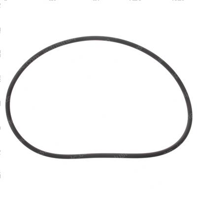 Picture of Seal