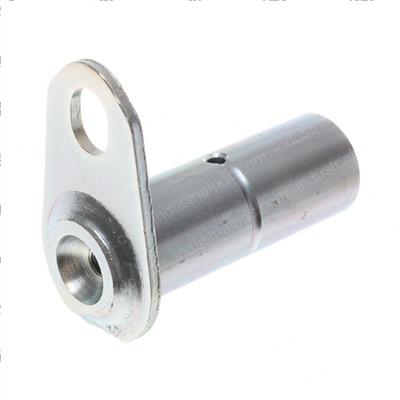 Picture of Pin
