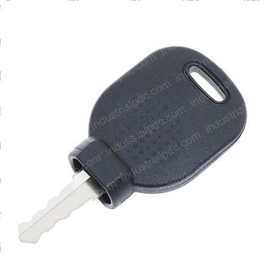 Picture of Ignition Key