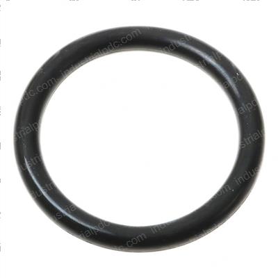 Picture of O-Ring