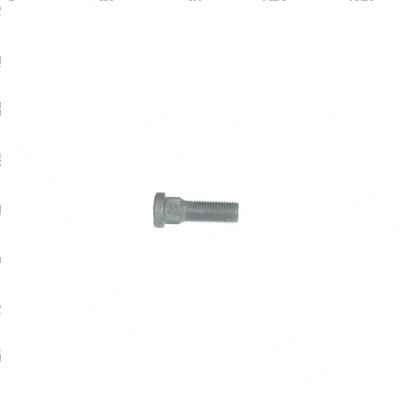 Picture of Bolt
