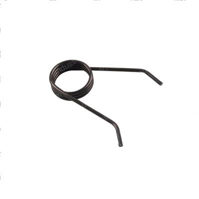 Picture of Spring - Torsion