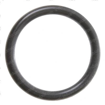 Picture of Viton Oring Was 252120