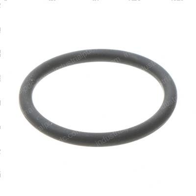 Picture of O-Ring