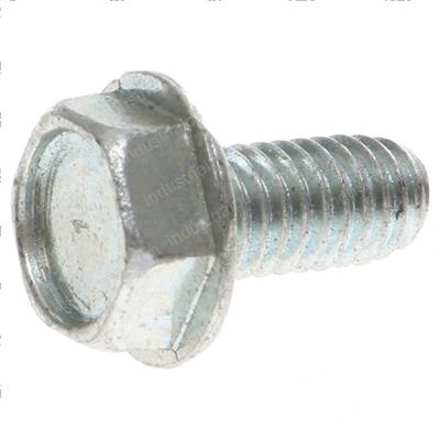 Picture of Screw
