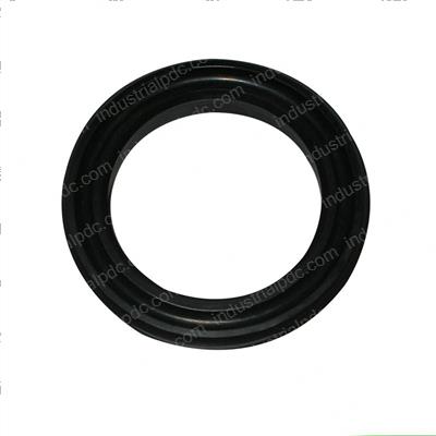 Picture of Seal - Ucup