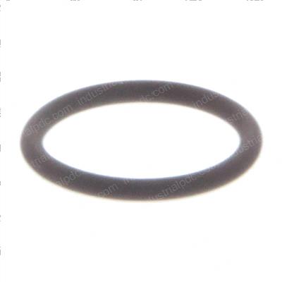 Picture of O-Ring