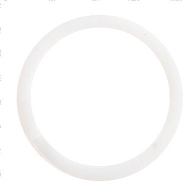 Picture of Back-Up Ring