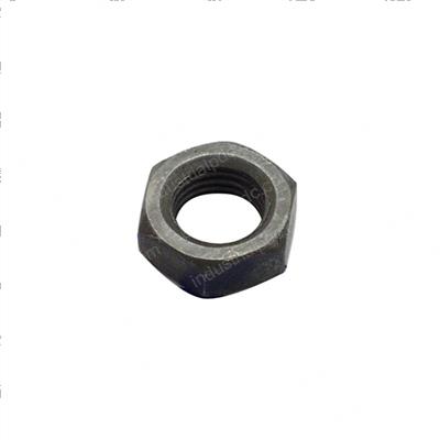 Picture of Nut