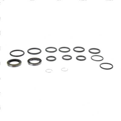Picture of Seal Kit - Hydraulic Cylinder