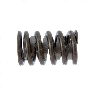 Picture of Spring - Valve - With Damper