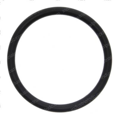 Picture of O-Ring