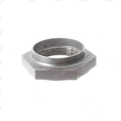 Picture of Nut