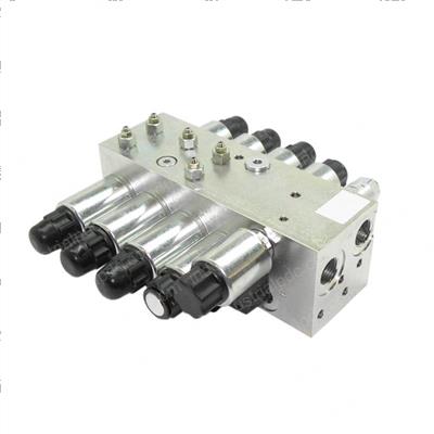 Picture of Manifold