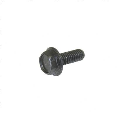 Picture of Bolt