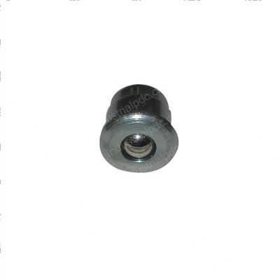 Picture of Nipple - Grease
