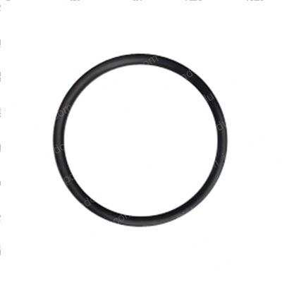 Picture of Ring - Back Up