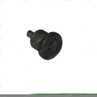 Picture of Plug - W/Magnet