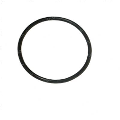 Picture of O-Ring