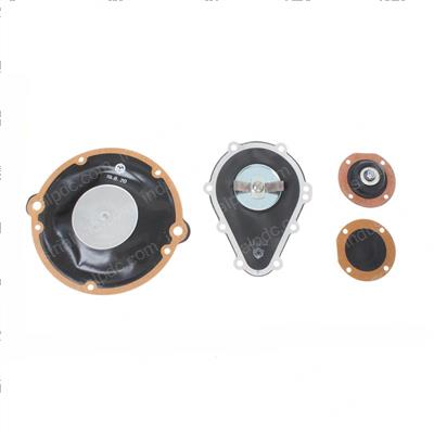 Picture of Overhail Kit - Diaphragm