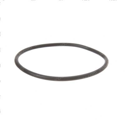 Picture of O-Ring