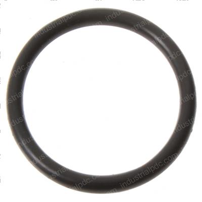 Picture of O-Ring