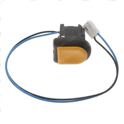 Picture of Switch Assembly
