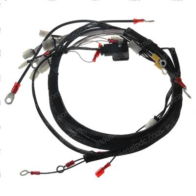 Picture of Main Wire Harne