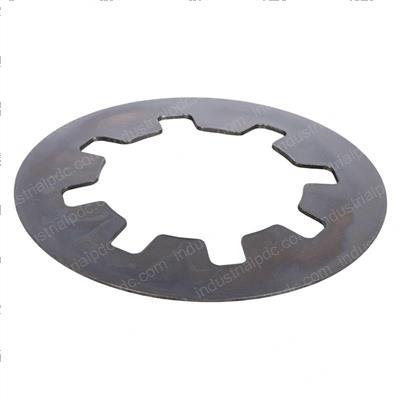 Picture of Washer - Spring