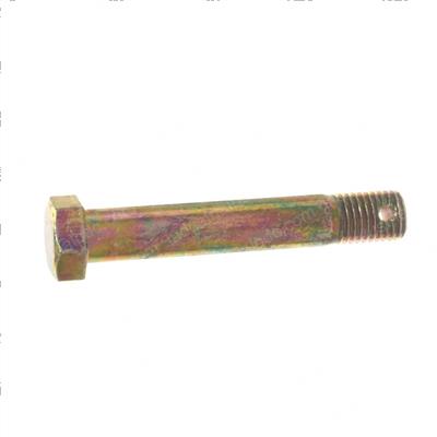 Picture of Bolt - Special