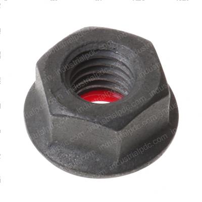 Picture of Seal