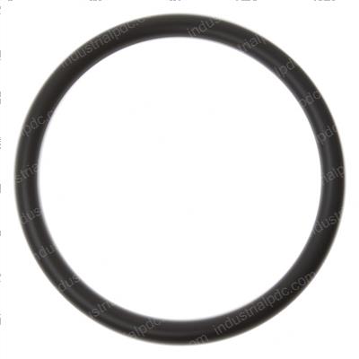 Picture of O Ring