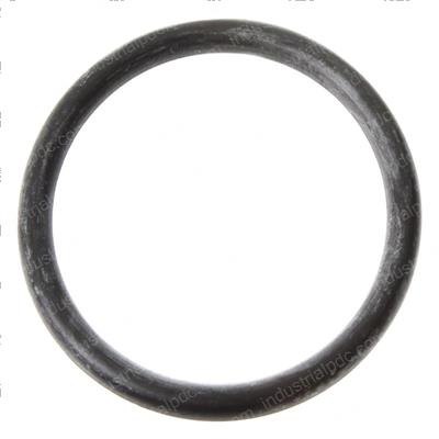 Picture of O Ring