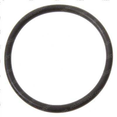 Picture of O Ring