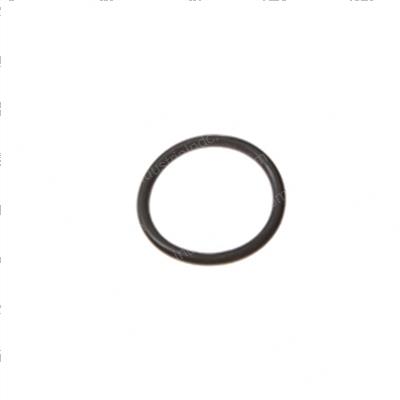 Picture of O-Ring