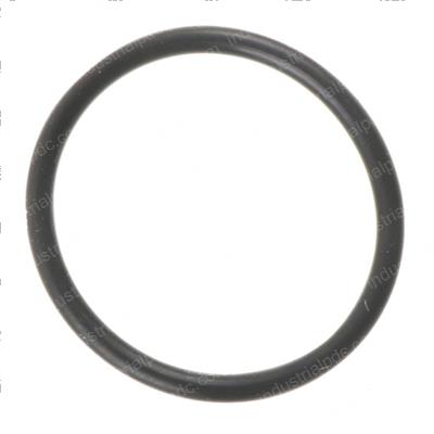 Picture of Seal