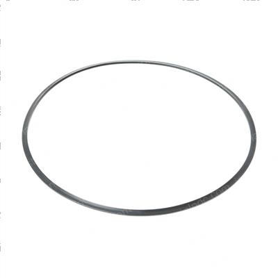 Picture of Ring - Backup