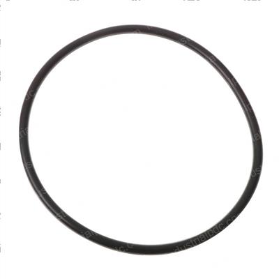 Picture of O-Ring