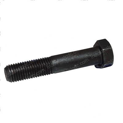 Picture of Bolt