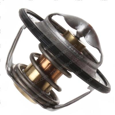 Picture of Thermostat Assembly