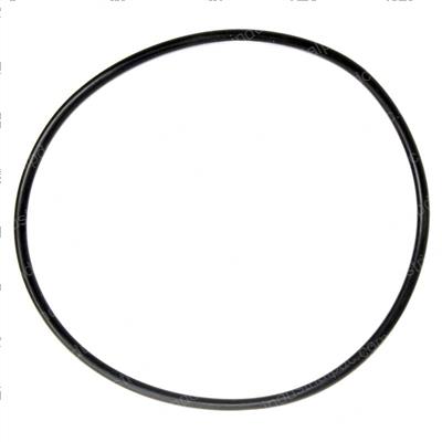 Picture of O-Ring