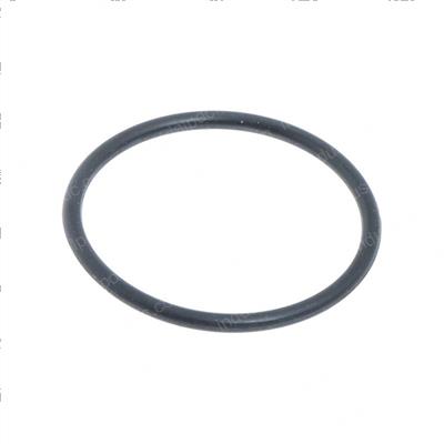 Picture of O-Ring