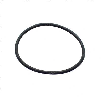 Picture of O-Ring