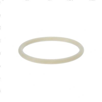 Picture of O-Ring