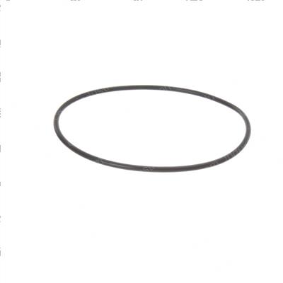Picture of O-Ring